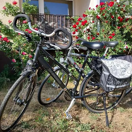 Appartement La Rosa *