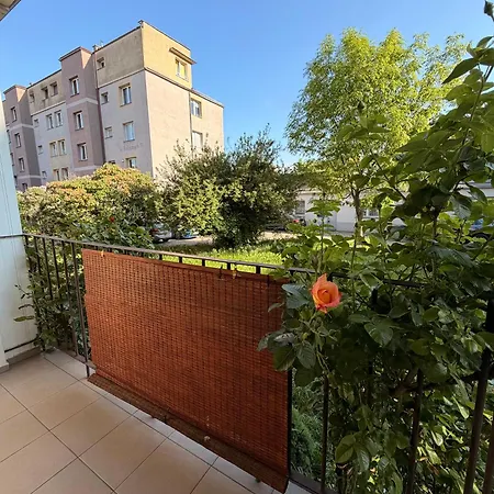 La Rosa